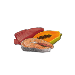 Gosbi Fresko Cat Adult Tuna, Salmon&Papaya konservai suaugusioms katėms su tunu, lašiša ir papajomis 70 g - nuotrauka 2