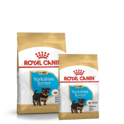 Royal Canin BHN Yorkshire Terrier Junior maistas jauniems šuniukams 0,5 kg - nuotrauka 5
