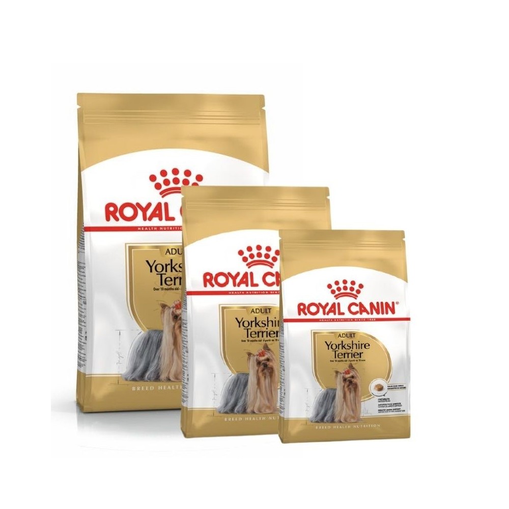 Royal Canin BHN Yorkshire Terrier Adult maistas suaugusiems šunims