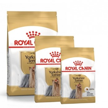 Royal Canin BHN Yorkshire Terrier Adult maistas suaugusiems šunims