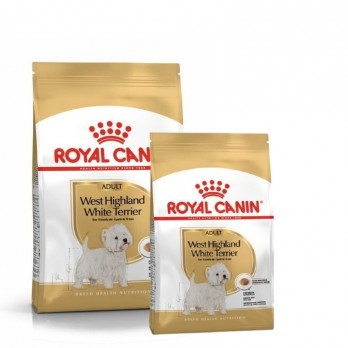 Royal Canin BHN West Highland White Terrier Adult maistas suaugusiems šunims