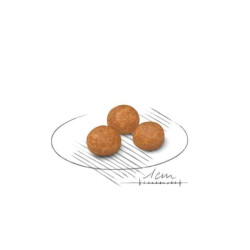 Royal Canin SHN X-SMALL Adult maistas suaugusiems šunims 0,4 kg - nuotrauka 2