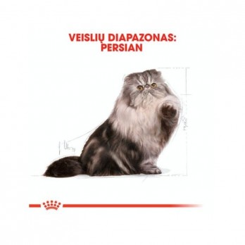 Royal Canin FBN Persian Adult maistas suaugusioms Persų veislės katėms 0,4 kg