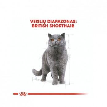 Royal Canin FBN British Shorthair Adult maistas suaugusioms Britų trumpaplaukių veislės katėms 0,4 kg