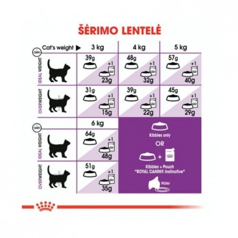 Royal Canin FHN Regular Sensible 33 maistas jautrią virškinimo sistemą turinčioms katėms 0,4 kg