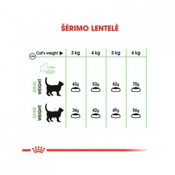 Royal Canin FCN Digestive Care maistas suaugusioms katėms gerai virškinimo sistemos veiklai 0,4 kg