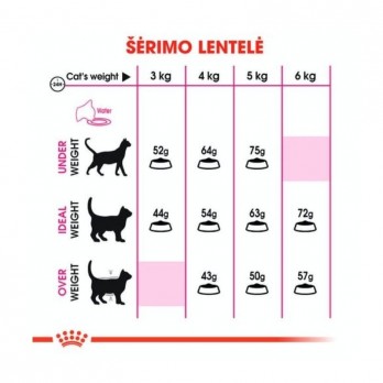 Royal Canin FHN Feline Preference Aromatic Exigent kvapui išrankioms katėms 0,4 kg