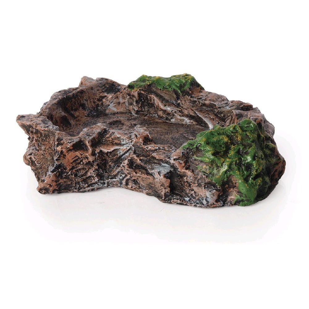 *Gertuvė ropliams, 22x17 cm