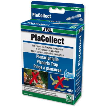 PlaCollect planarijų gaudyklė