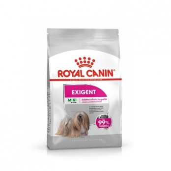 Royal Canin CCN Mini Exigent sausas maistas išrankiems suaugusiems šunims 1 kg