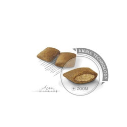 Royal Canin CCN Mini Exigent sausas maistas išrankiems suaugusiems šunims 1 kg - nuotrauka 5