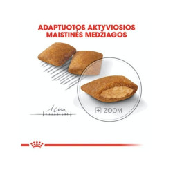 Royal Canin CCN Mini Exigent sausas maistas išrankiems suaugusiems šunims 1 kg - nuotrauka 2