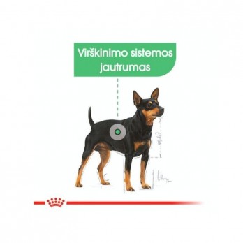 Royal Canin Mini Digestive Care Sausas maistas mažų veislių šunims 1 kg