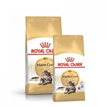 Royal Canin Maine Coon Sausas maistas Meino meškėnų veislės katėms 0,4 kg