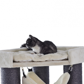 Draskyklė katėms Chilo, 60x60x165 cm