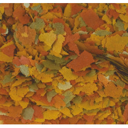 Tropical Goldfish Color maistas auksinėms žuvelėms 250 ml - nuotrauka 2