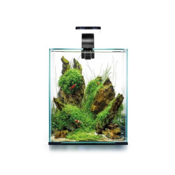 Aquael Shrimp Set Smart Day&Night 30 Black akvariumas su įranga krevetėms 30 l - nuotrauka 2