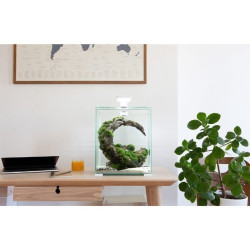 Aquael Shrimp Set Smart Day&Night 30 Black akvariumas su įranga krevetėms 30 l - nuotrauka 3