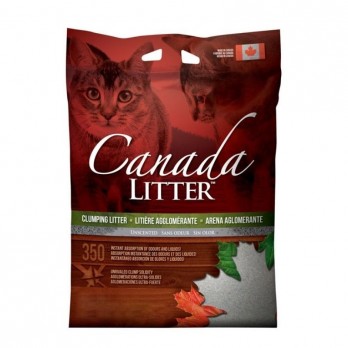 Canada Litter bekvapis kraikas katėms 18 kg