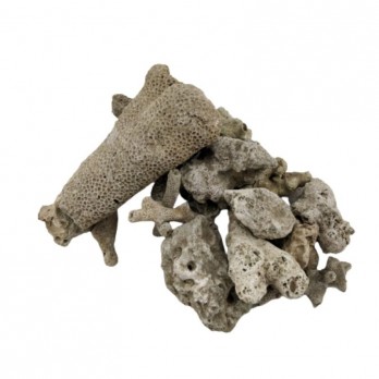 Filtracinė medžiaga (koralų nuolaužos) 40-60 mm, 2 kg