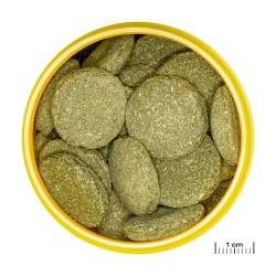 JBL ProNovo Pleco Wafer XL pašaras žuvims 1000 ml - nuotrauka 3