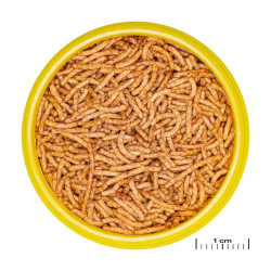 ProNovo Red Insect Sticks S pašaras žuvims 100 ml - nuotrauka 2