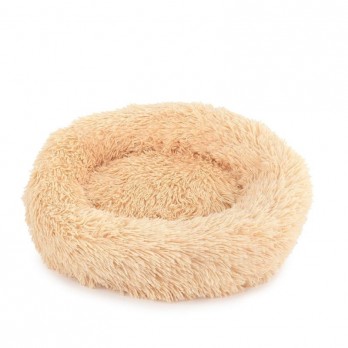 *Pliušinis guolis, 40 cm