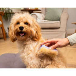 Pet Teezer plaukų šepetys gyvūnams Detangling&Dog Grooming Brush Small, violetinis - nuotrauka 2