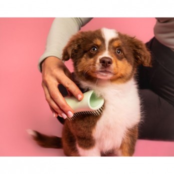 Pet Teezer plaukų šepetys gyvūnams Puppy Brush, žalias