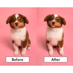 Pet Teezer plaukų šepetys gyvūnams Puppy Brush, žalias - nuotrauka 3