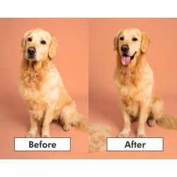 Pet Teezer plaukų šepetys gyvūnams De-Shedding&Dog Grooming Brush Small, žydras - nuotrauka 3