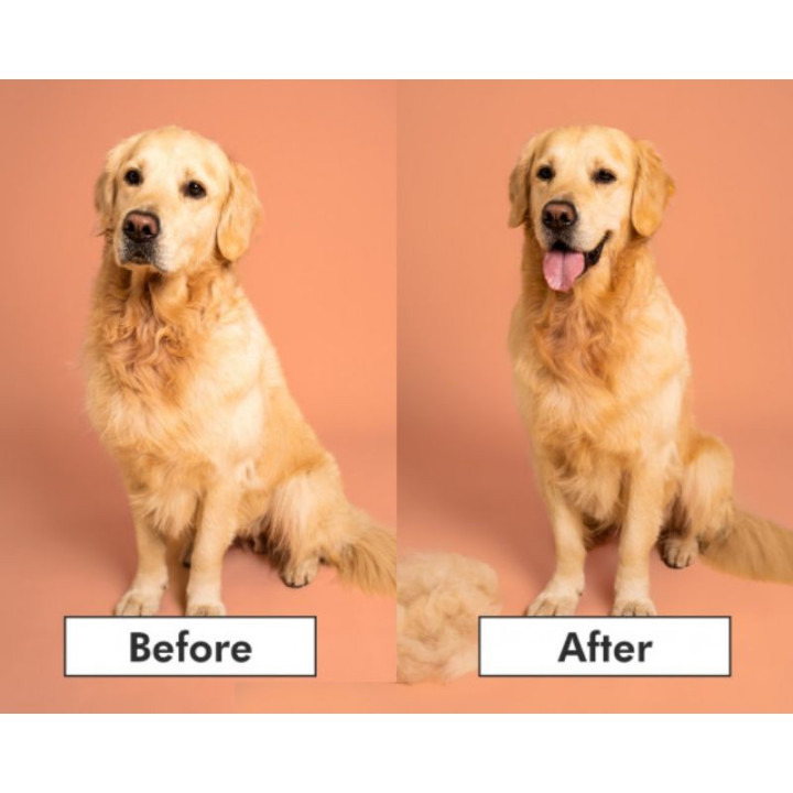 Pet Teezer plaukų šepetys gyvūnams De-Shedding&Dog Grooming Brush Small, žydras