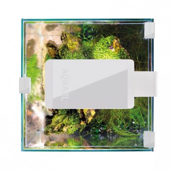 Leddy Smart 4,8 W Sunny šviestuvas (baltas)