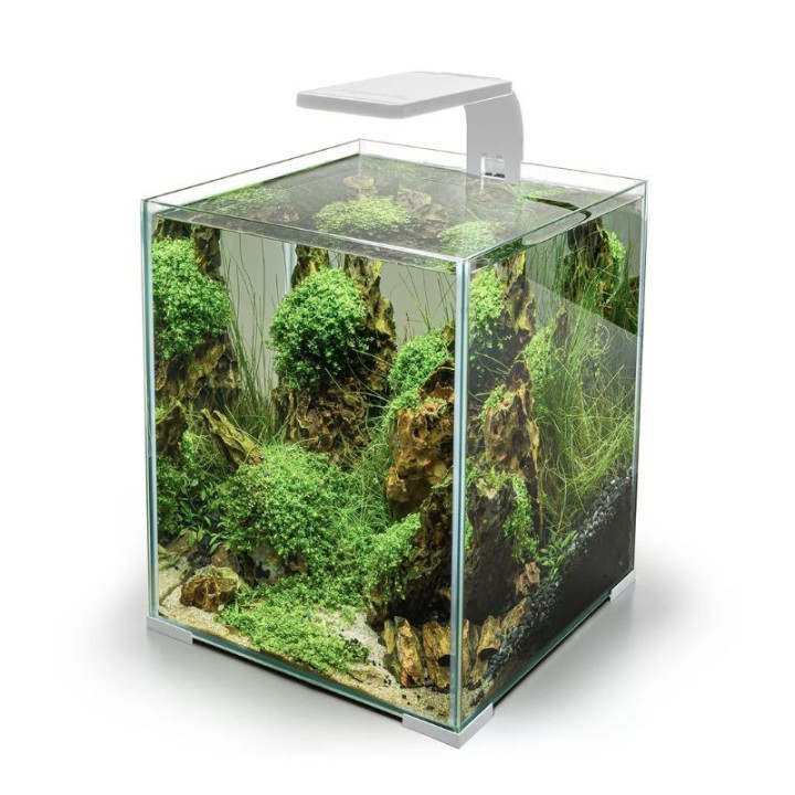 Aquael Leddy Smart 4,8 W Sunny šviestuvas (baltas) | Akvazoo.lt