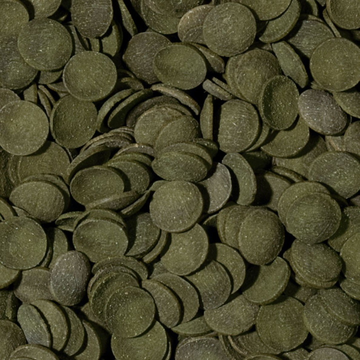 Tropical Green Algae Wafers pašaras dugninėms žuvims 1000 ml
