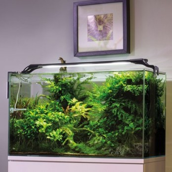 *Leddy Slim Plant, 10 W, 50-70 cm, baltas