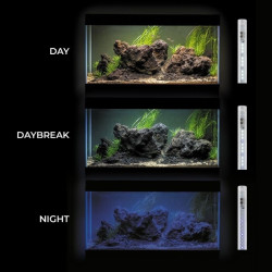 Leddy Tube Day&Night Sunny 14 W, 62 cm - nuotrauka 5