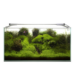 Leddy Slim Plant, 32 W, 80-107 cm, baltas - nuotrauka 3
