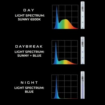 *Leddy Tubbe Day&Night, 14 W