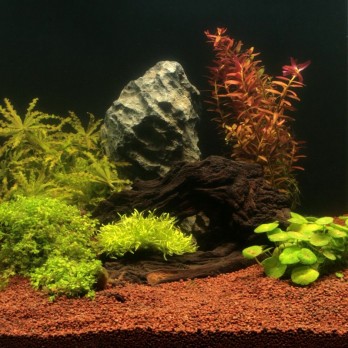 Manado natūralus substratas akvariumo augalams 3 l