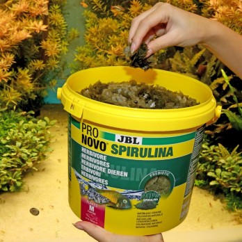 JBL ProNovo Spirulina Flakes M pašaras žuvims 5,5 l