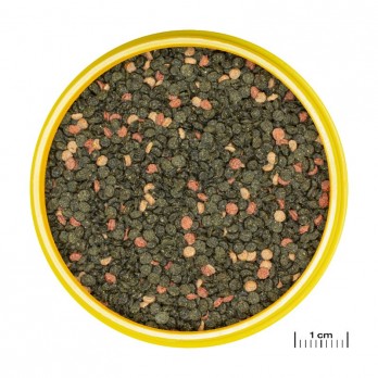 JBL ProNovo Malawi Grano M pašaras žuvims 5,5 l