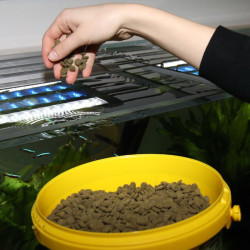 JBL ProNovo Pleco Wafer M pašaras žuvims 5,5  (2,9 kg) - nuotrauka 4