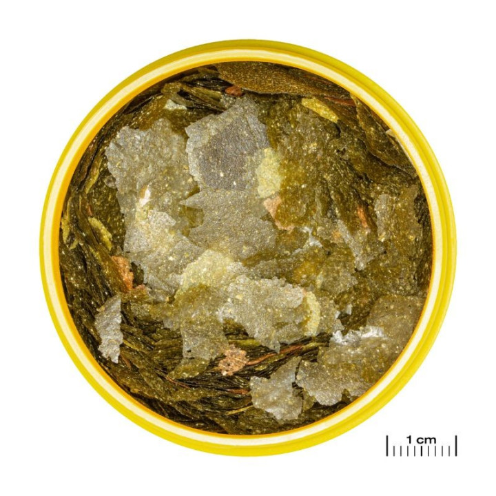 JBL ProNovo Malawi Flakes M pašaras žuvims 1000 ml | Akvazoo.lt