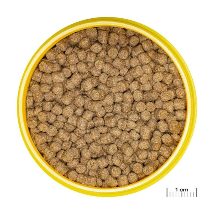 JBL ProNovo Lotl Grano M pašaras aksolotliams 250 ml | Akvazoo.lt