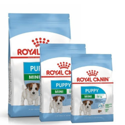 Royal Canin SHN MINI Puppy maistas jauniems šuniukams 0,8 kg - nuotrauka 4