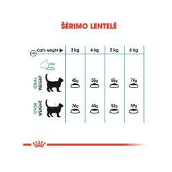 Royal Canin FCN Hairball Care maistas suaugusioms katėms prarytų plaukų kamuolių mažinimui 10 kg - nuotrauka 5