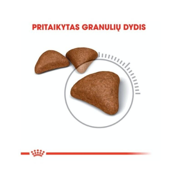 Kačių maistas Royal Canin FCN Hairball Care prarytų plaukų kamuolių mažinimui 10 kg