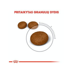 Royal Canin FCN Hair and Skin Care maistas suaugusioms katėms sveikai odai ir kailiui 10 kg - nuotrauka 2