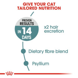 Royal Canin FCN Hairball Care maistas suaugusioms katėms prarytų plaukų kamuolių mažinimui 0,4 kg - nuotrauka 3